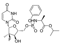 索非不韋，99%