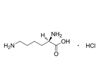 D-賴氨酸鹽酸鹽，98% 